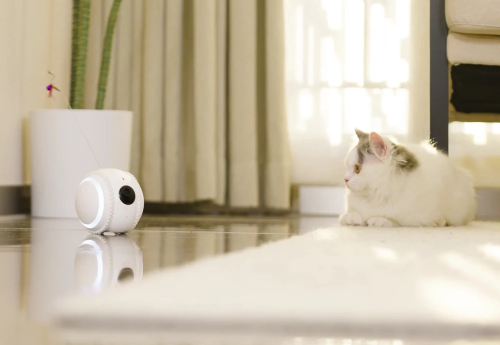 wireless pet monitoring camera