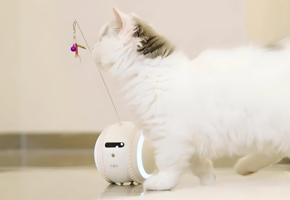 best smart pet camera