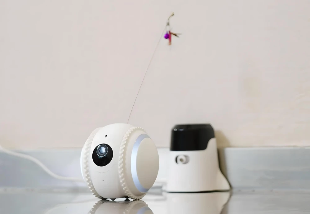 interactive pet camera