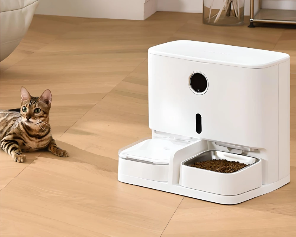 automatic feeder for dogs