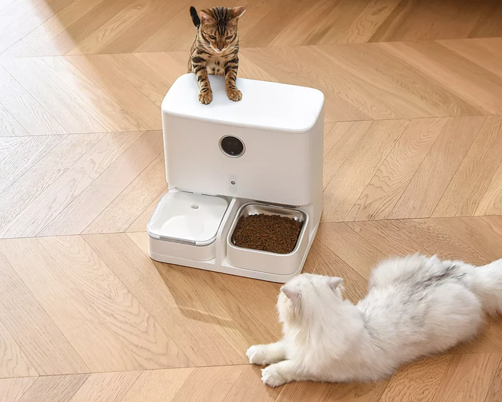 automatic pet feeder and water