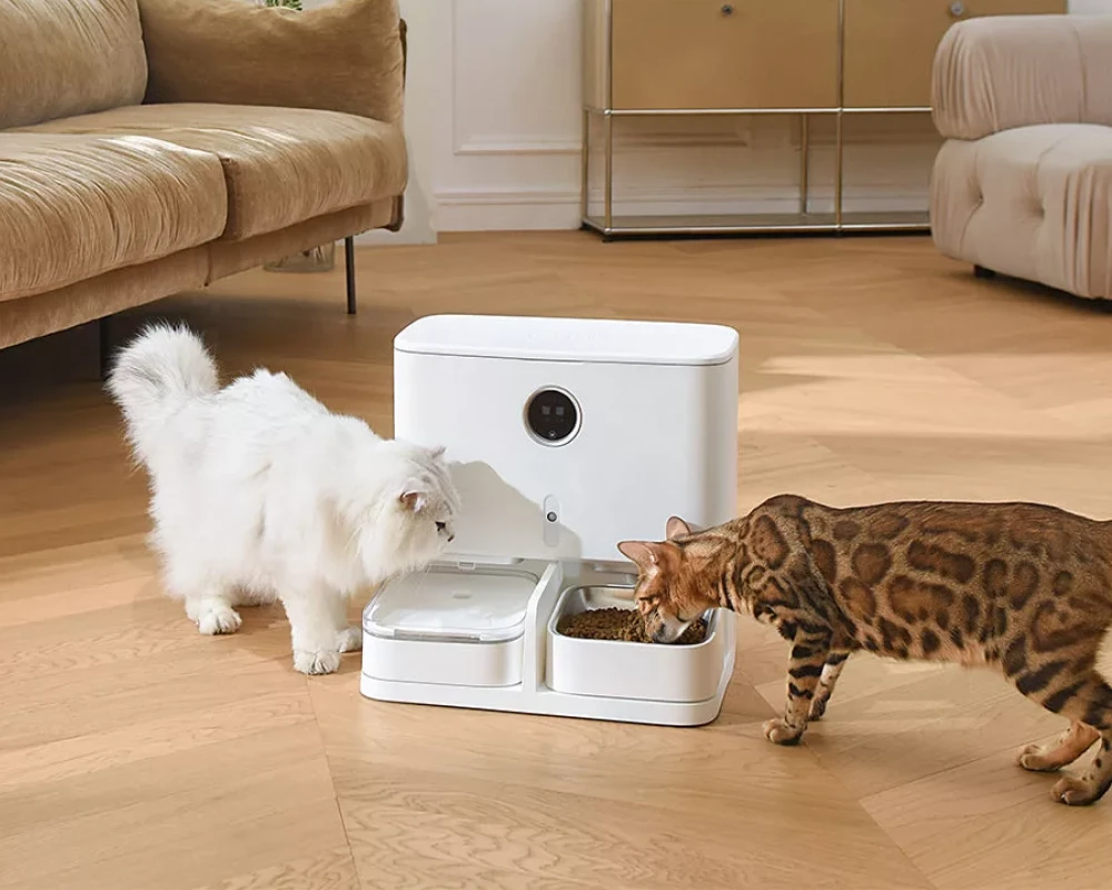 pet water and food dispenser