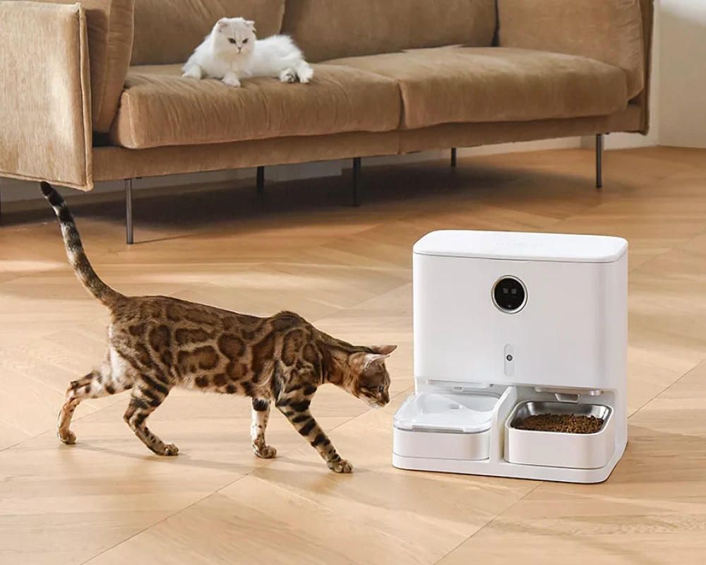 animal planet automatic pet feeder