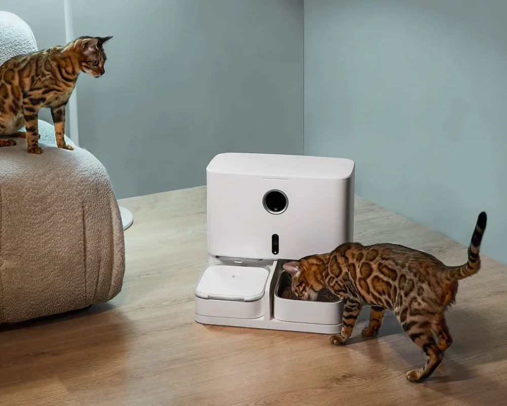 top rated automatic pet feeder