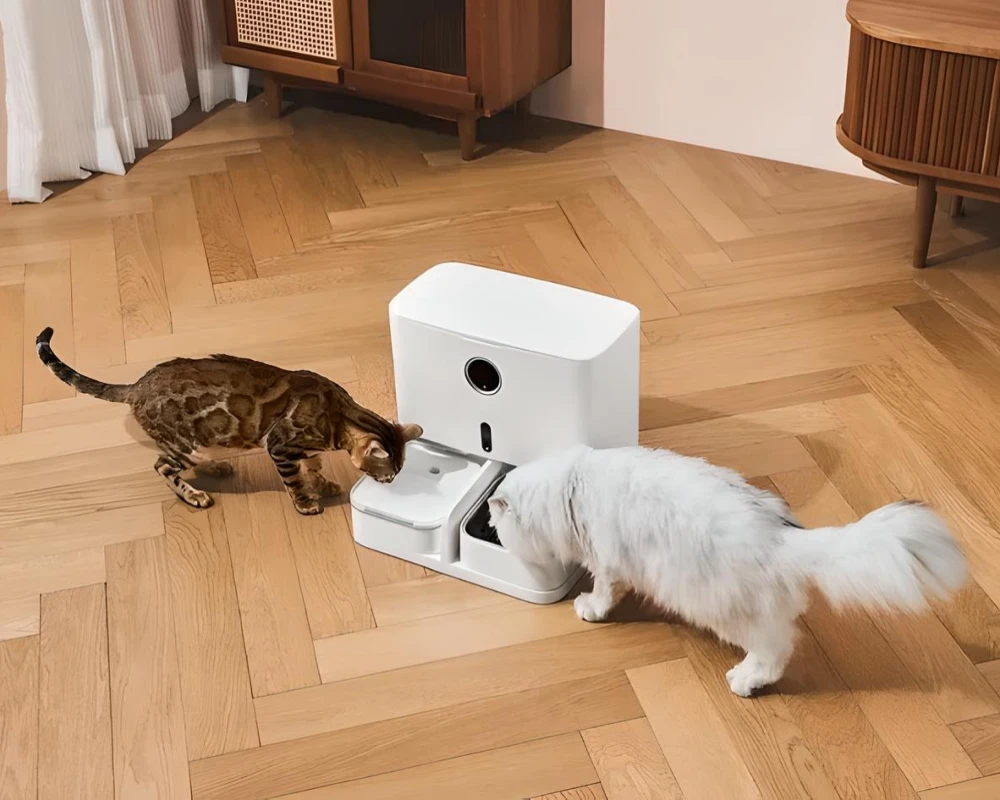 pet food dispenser